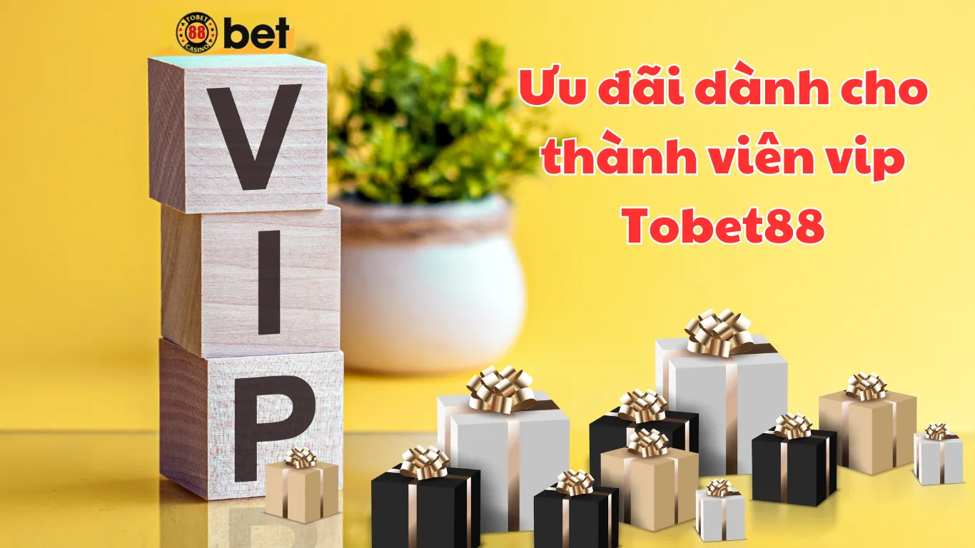 Ưu đãi thành viên vip nhận được tại Tobet88